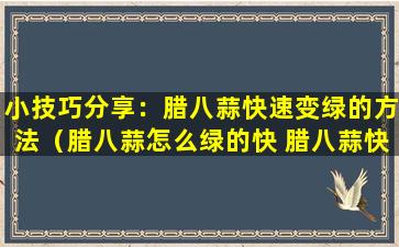 小技巧分享：腊八蒜快速变绿的方法（腊八蒜怎么绿的快 腊八蒜快速变绿方法）